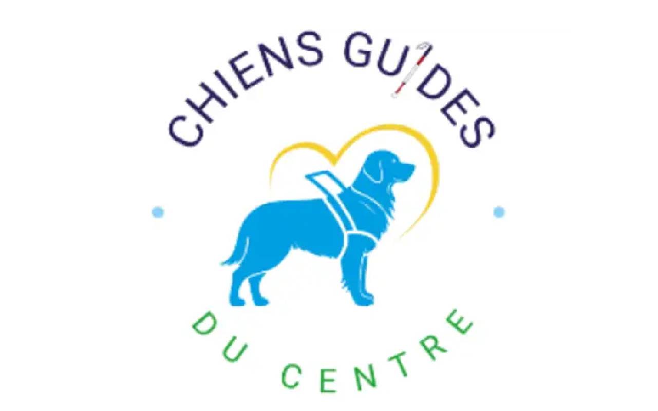 Chien guide 100