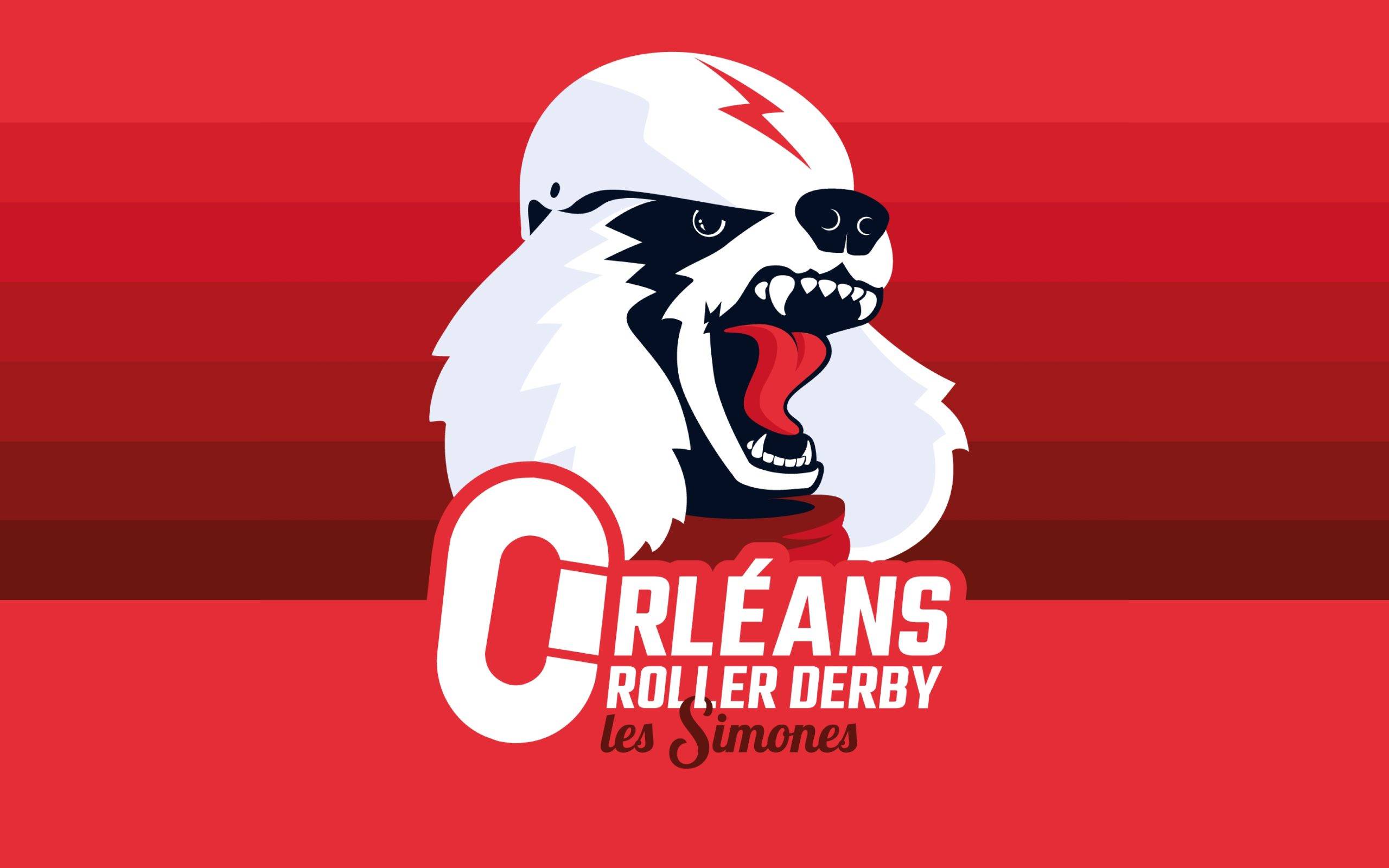 Roller debry Orleans