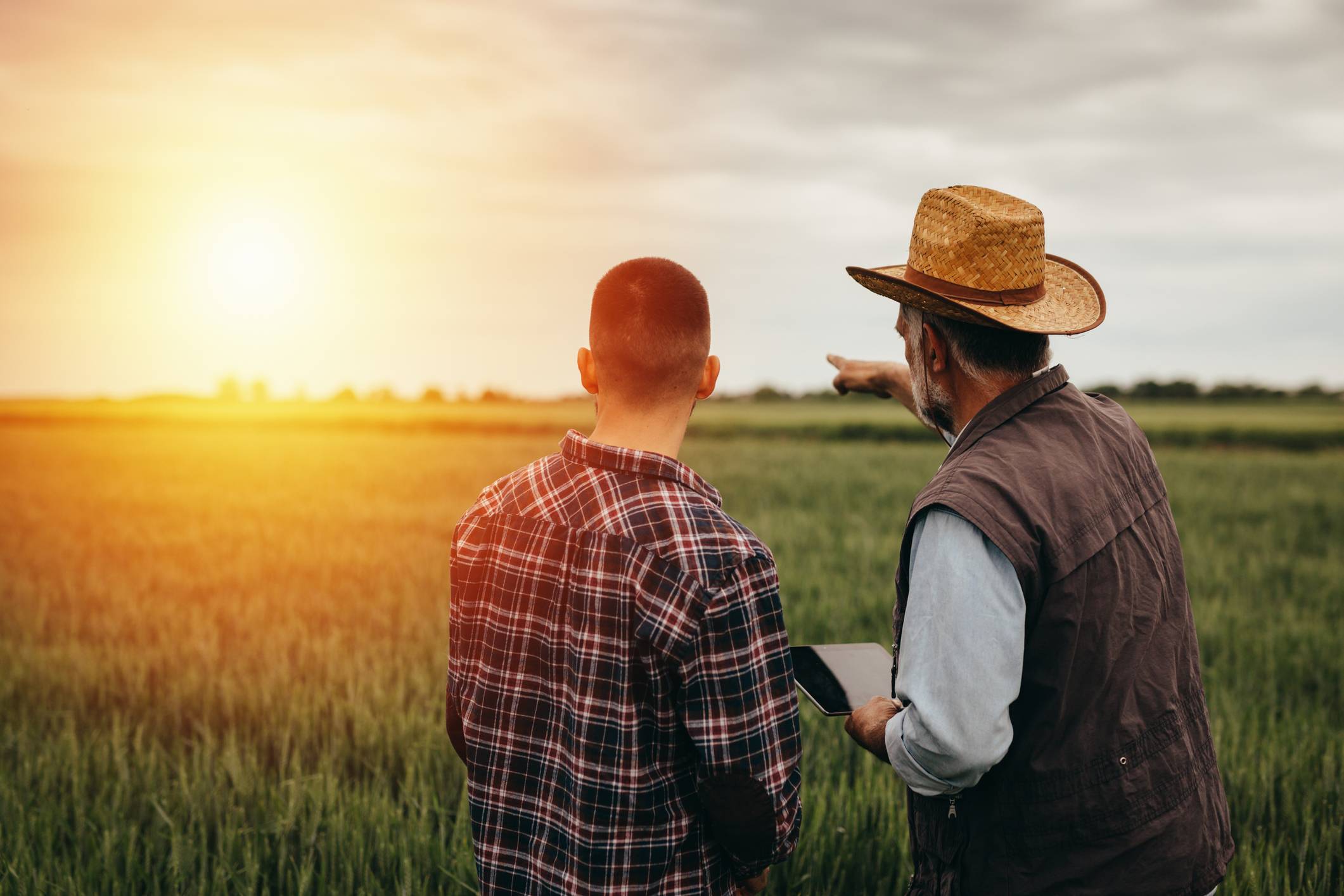 farmers on field