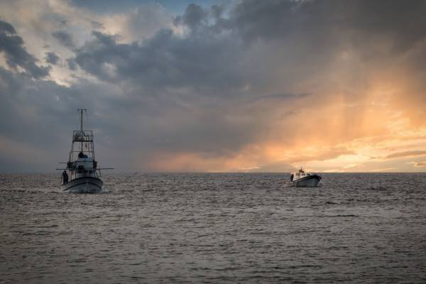 shutterstock licencereuropeennepeche