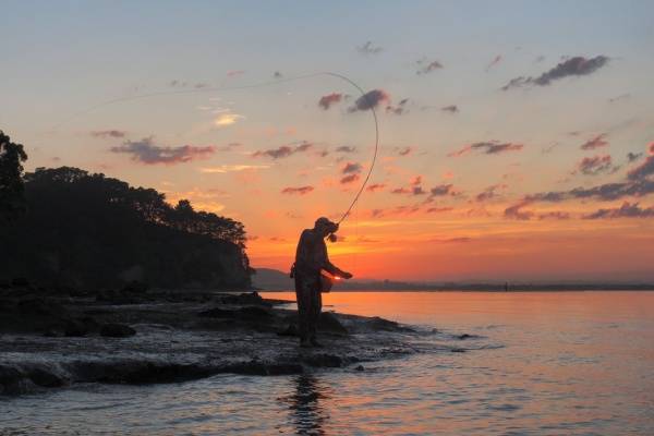 Cadre Pour Catapulte De Pêche JAG - Support Single Rod - Produit Neuf Pour Amorçage