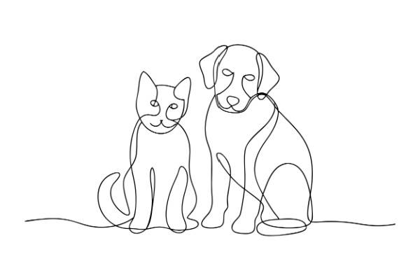 shutterstock reglesanimauxdomestiques