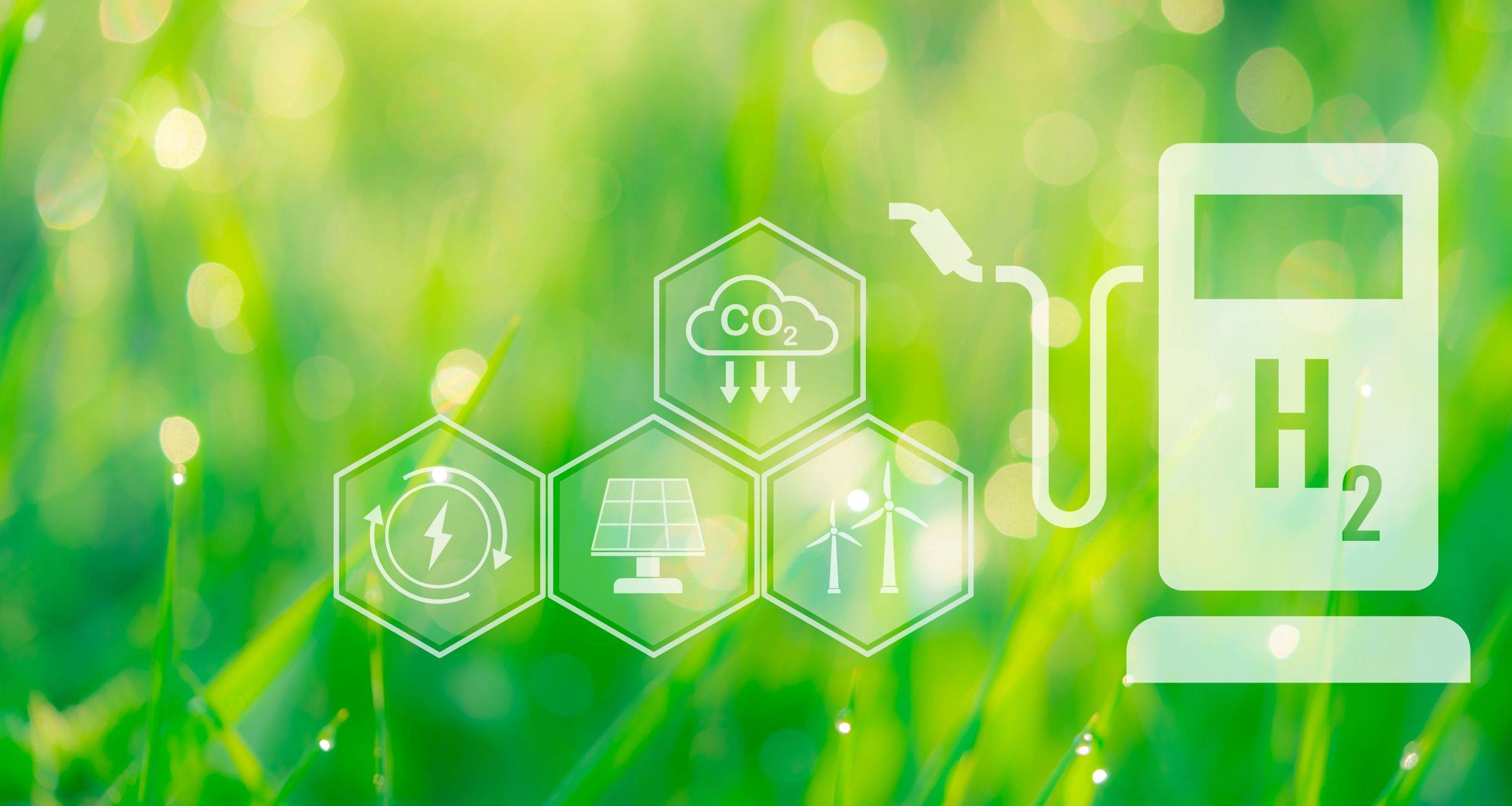 shutterstock acciseenergiessimplification