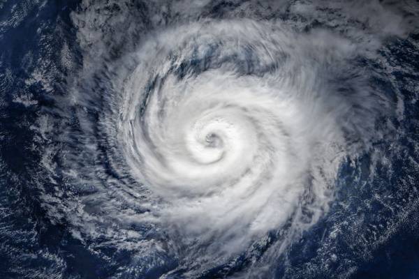 shutterstock chidoprolongation