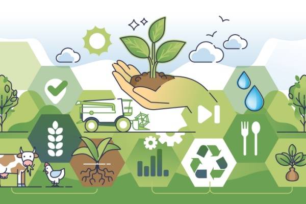 shutterstock lfssagriculture