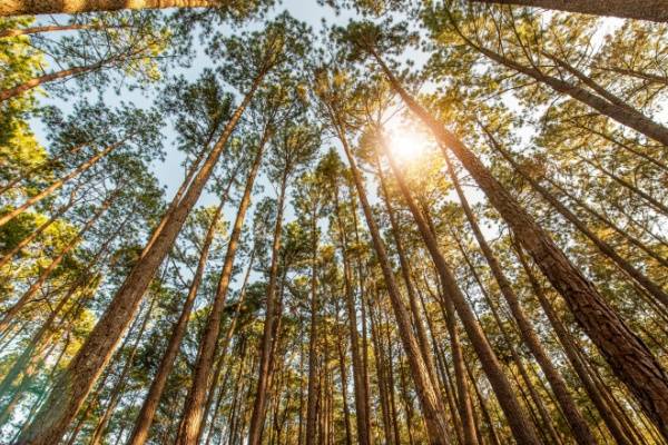 shutterstock tauxreduittvaagriculture